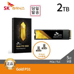 SK하이닉스 Gold P31 M.2 NVMe SSD 2TB