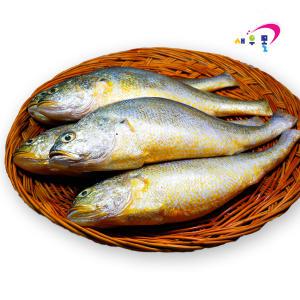 부세조기 특대 12미 1박스(3.4kg)