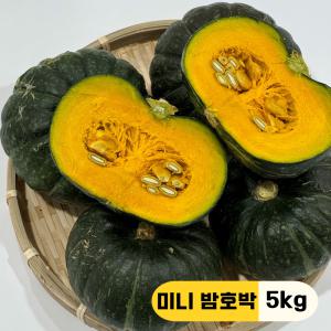 [만근농장] 24년 갓 수확한 국내산 제주 보우짱 미니 단호박 밤호박 5kg