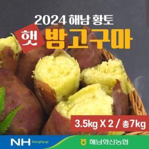 24년 화산농협 해남 황토 햇 밤고구마  7kg(3.5kg+3.5kg)