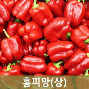 홍피망(상) 5kg 1박스 크기 다양 두리반농산