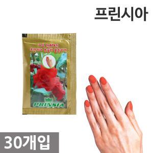 프린시아 봉숭아 물들이기 30개입