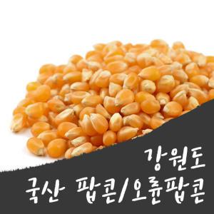 강원도 국산 팝콘용 옥수수/1kg/안전한 국산 팝콘