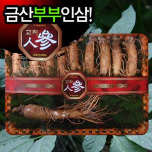 2024년 부부인삼 가을햇삼 명품1000g 고급750g 실속500g 풍성하고 다양한 가격별 인삼세트