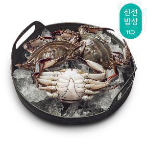 [품질보장] 더신선 태안 자연산 통통 활 꽃게 2kg 6-10미 / 금어기 종료! 드디어 첫 출