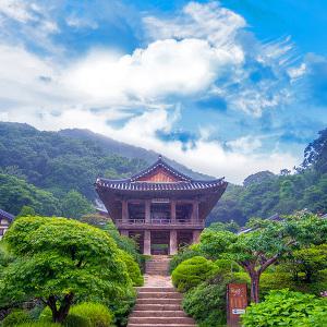 [경북] 세계문화유산 영주 소수서원+부석사+무섬마을+영주호 용마루공원 출렁다리 당일여행 / 서울경기出