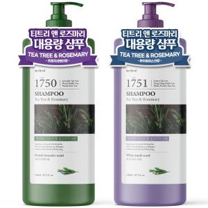 1 + 1 메르헨트 티트리 로즈마리 대용량 샴푸 1500ml 약산성 퍼퓸 두피 미용실 향기좋은