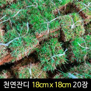 서경농원 잔디 18cm x 18cm 20장 묶음 천연 한국잔디 중지