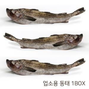 동태 6통 5.4kg (6마리 전후) 1박스 업소용 대용량 냉동 명태 동태탕