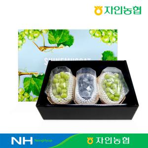 경산자인농협 고당도 샤인머스캣&거봉 선물세트 2kg(3입) 농협선별 / GAP인증