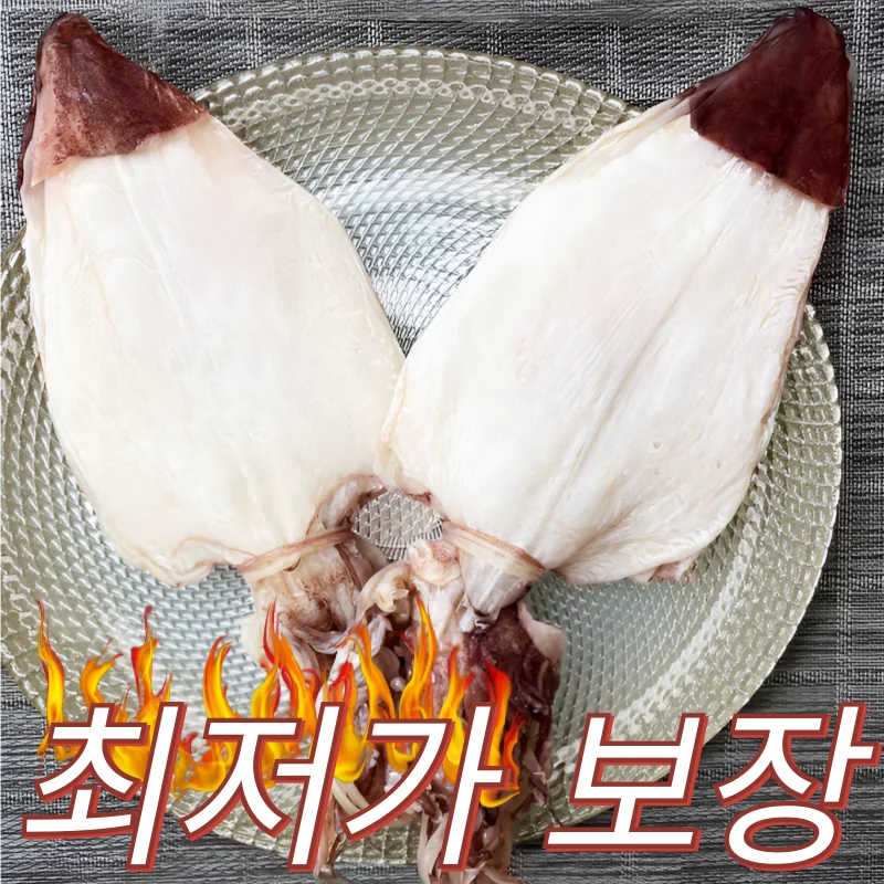 프리미엄 AAA급 한치 L사이즈 10마리 가장 큰 한치 반건조