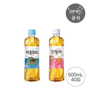 베스트 차음료 묶음 하늘보리 500ml 20펫+결명자차 500ml 20펫