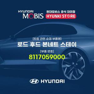 로드 후드 본네트 스테이 (8117059000)