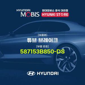 현대모비스튜브 브레이크 (587153B850-DS)