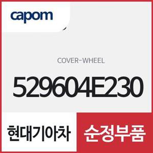 휠 커버 (529604E230) 봉고3