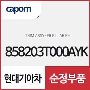 프론트 필라 트림,우측(조수석쪽) (858203T000AYK) K9