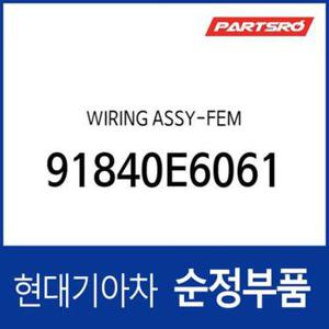 와이어링 앗셈블리-FEM (91840E6061) LF쏘나타 하이브리드