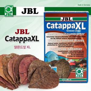 JBL 알몬드잎 Catappa XL 10장 (DSA0354) (WCAF2C0)