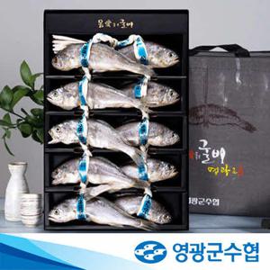 [영광군수협] 법성포 영광굴비 오가 0.9kg (10마리) 선물세트