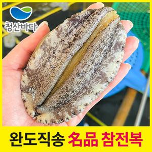 [청산바다] 완도직송 활전복 특대 1kg 6-7미