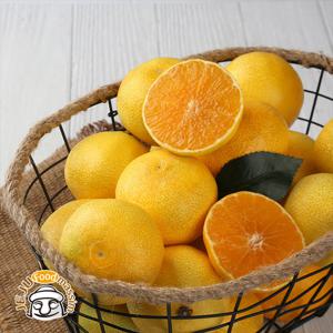 조은돌담 서귀포 황금향 1.5kg (실속형 중소과)