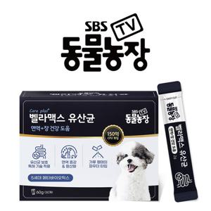 SBS TV 동물농장 유산균 강아지 장 건강 면역력 영양제