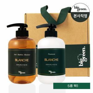 [선물세트]빅그린 아누카 니치 탈모샴푸500ml+트리트먼트500ml