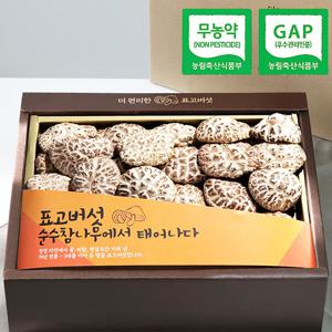 [웰굿]무농약GAP인증 표고버섯 천자고 백화고세트(백화고250g)