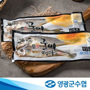 [영광군수협] 법성포 영광굴비 진공포장 10팩 20미 1.4kg