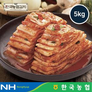 한국농협김치 전라도 순천 남도 썰은 배추김치 5kg