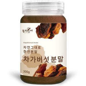 [동의한재] 최상품 러시아 차가버섯 분말 가루 300g