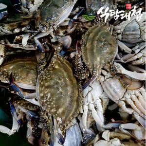 대한민국전통시장 연평도 큰 암꽃게 2kg (4-6미) 급냉