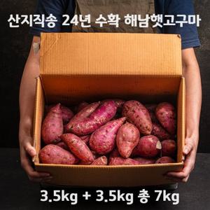 산지직송 24년 수확 황토해남 햇 밤고구마 총 7kg(3.5kg + 3.5kg)