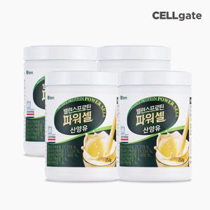 밸런스 프로틴 파워셀 산양유 단백질 252g x 4통