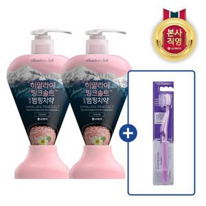 히말라야 핑크솔트 펌핑치약 플로럴민트 285g x 2개 (+ 퍼플 화이트닝 칫솔 1입)