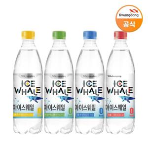 광동 아이스웨일 탄산수 500ml 40병 모음