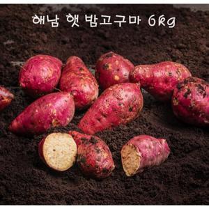 [산지직송] 24년 8월 수확 해남 햇 밤고구마 1+1(총6kg)