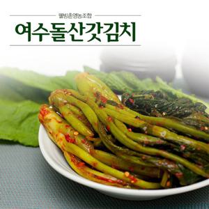 [웰빙촌] 여수돌산갓김치 5kg