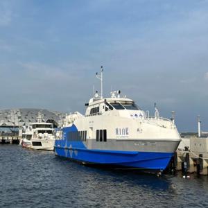 [즉시 확인 - QR코드로 바로 입장] Xiaoliuqiu 왕복 페리 티켓: 동강 어항 출발 | 핑둥, 대만