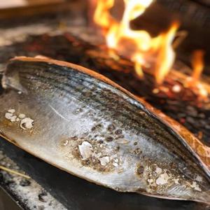 가고시마현 가고시마시 | Sushikoto Katsuo(すしことかつお) 좌석 예약 전용