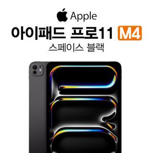 KT 애플 아이패드 프로 11인치 256GB M4 2024년 신형 셀룰러 모델 신규가입 기기값 분납 개통