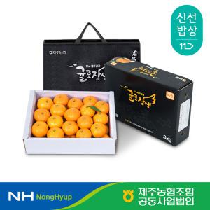 [제주농협] 귤로장생 고당도 명품/프리미엄 하우스감귤 3kg 로얄과 가방포장