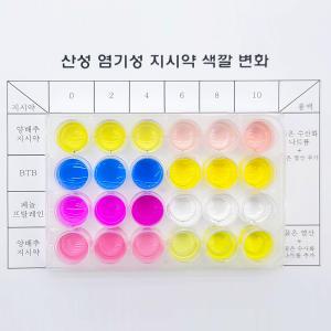 [더원사이언스] 산성 염기성 지시약 색깔 변화 (1인용 포장)/삼염기 색깔 변화 관찰/과학영재/홈스쿨/과학교구