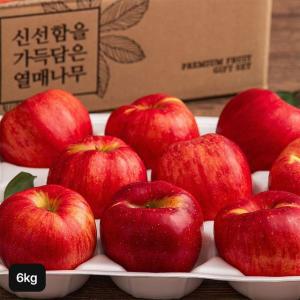 열매나무 못난이 햇 홍로사과 3kg+3kg (총 6kg)