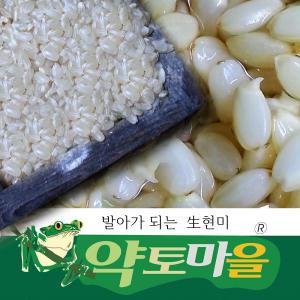 [약토마을] 발아되는 生현미/찹쌀현미10kg