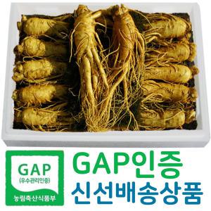 [직접 재배한 GAP 인증 수삼] 6-5년근 인삼 아이스박스 선물세트, 가격대별 용량별 다양하게 준비했어요, 농부가 선별한 인삼을 보내드려요, 추석 명절 한가위 선물, 상견례 첫인사, 보자기 선택 가능