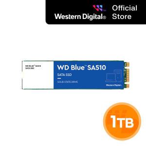 [WD공식] WD BLUE SA510 M.2 2280 SSD 1TB