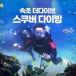 [강원 속초] 더다이브(The Dive) 스쿠버 다이빙