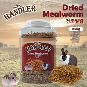 펫츠핸들러 햄스터&고슴도치 영양간식 건조밀웜 수퍼사이즈 점보 850g