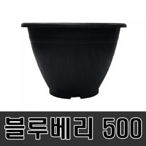 [세이프24 ] 블루베리500 수목화분 나무화분 블루베리